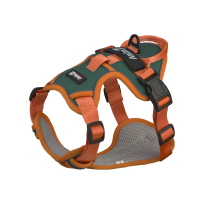 Шлея анатомічна світловідбивна AnimAll HL-H8791 для собак, колір зелений | помаранчевий, L 62-83 см