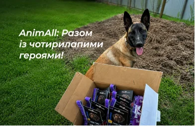 Paws That Keep Things Running: How AnimAll Supports Our Four-Legged Defenders