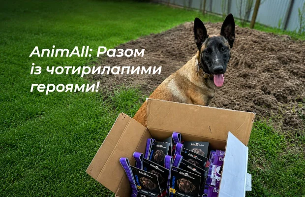 Лапи, що тримають стрій: як AnimAll підтримує чотирилапих захисників