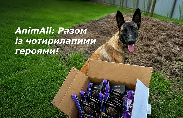 Paws That Keep Things Running: How AnimAll Supports Our Four-Legged Defenders