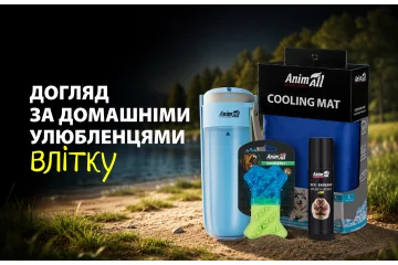 Догляд за домашніми улюбленцями влітку: що потрібно знати кожному господарю