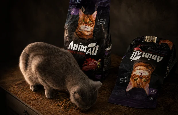 Charity That Makes a Difference Every Day: AnimAll Supported the «Living Planet» Organization