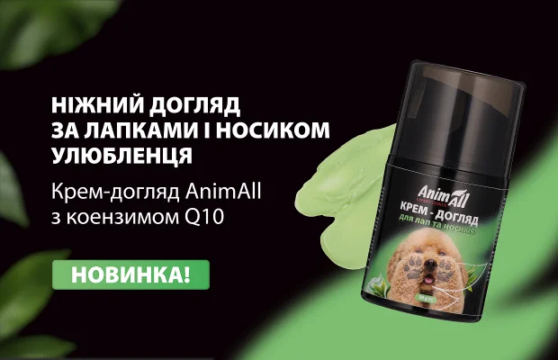 AnimAll Care Cream for Dogs’ and Cats’ Paws and Noses with Coenzyme Q10: Reliable Protection During Walks