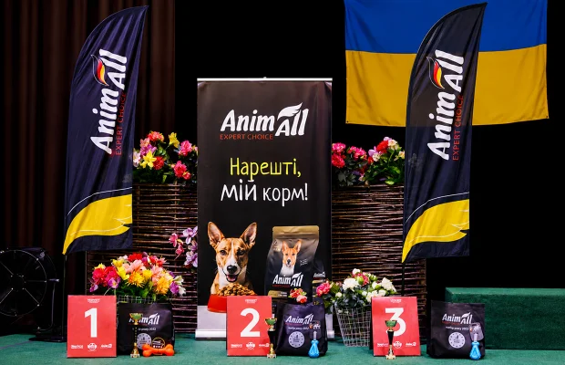 «Kyiv Meetings 2026»: AnimAll Supported the Future of Ukrainian Film Studies