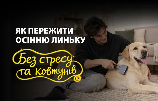 Чому улюбленець почав сильно линяти восени: норма чи привід для уваги?
