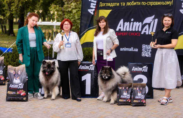 Понад 100 щасливих хвостів та море емоцій: як AnimAll підтримав кінологічні виставки у Дніпрі