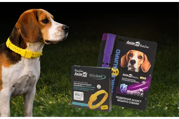 Treating Dogs for Parasites: How to Protect Your Dog from Fleas and Ticks in the Spring