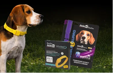 Treating Dogs for Parasites: How to Protect Your Dog from Fleas and Ticks in the Spring
