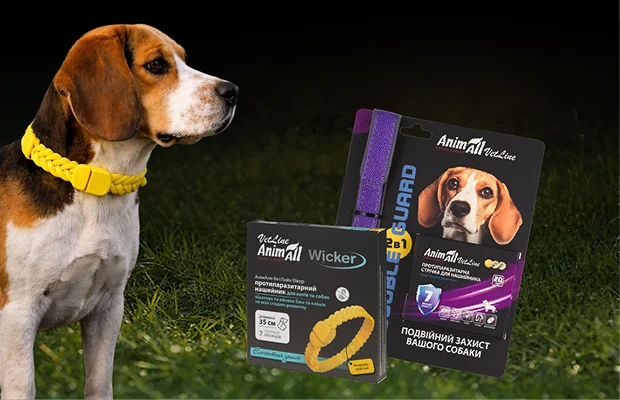 Treating Dogs for Parasites: How to Protect Your Dog from Fleas and Ticks in the Spring
