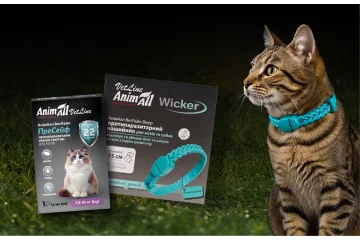 Treating Cats for Parasites: How to Protect Your Cat from Fleas and Ticks in the Spring