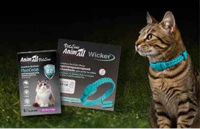 Treating Cats for Parasites: How to Protect Your Cat from Fleas and Ticks in the Spring