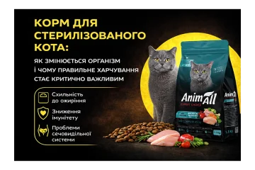 Food for neutered cats: how their bodies change and why proper nutrition becomes critically important