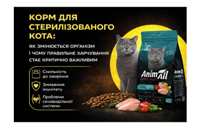 Food for neutered cats: why nutrition is so important