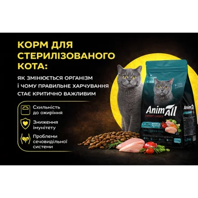 Food for neutered cats: how their bodies change and why proper nutrition becomes critically important