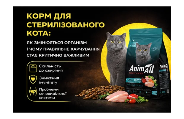 Food for neutered cats: how their bodies change and why proper nutrition becomes critically important