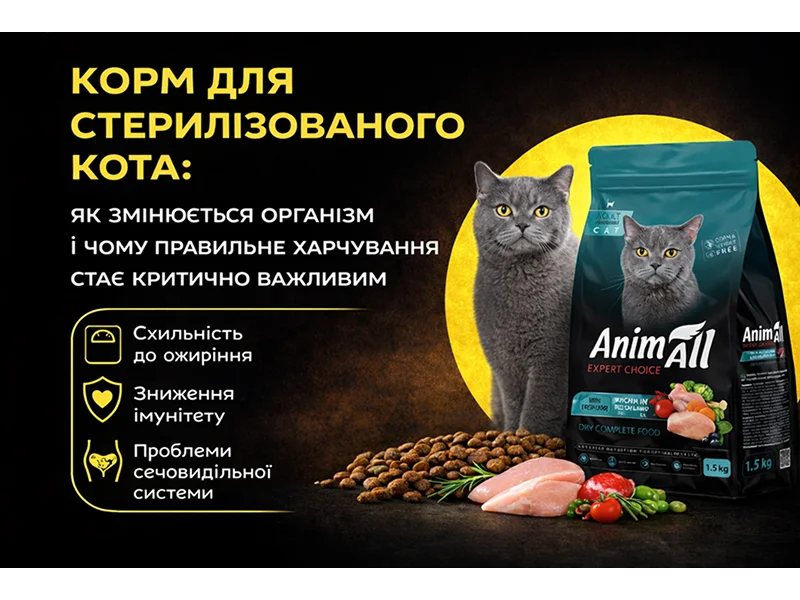 Food for neutered cats: how their bodies change and why proper nutrition becomes critically important