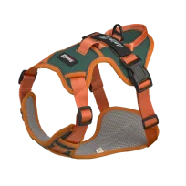 Шлея анатомічна світловідбивна AnimAll HL-H8050 для собак, колір зелений | помаранчевий, XL 77-100 см