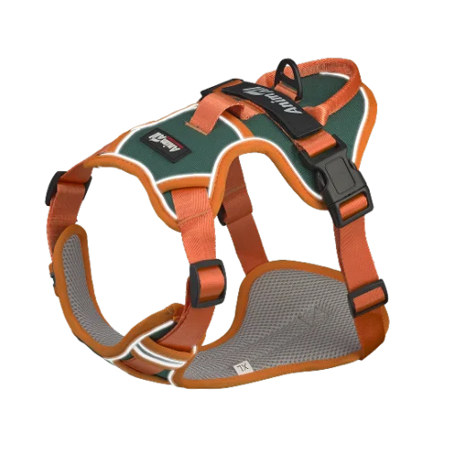 Шлея анатомічна світловідбивна AnimAll HL-H8050 для собак, колір зелений | помаранчевий, XL 77-100 см