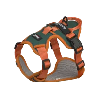 Шлея анатомічна світловідбивна AnimAll HL-H8791 для собак, колір зелений | помаранчевий, L 62-83 см