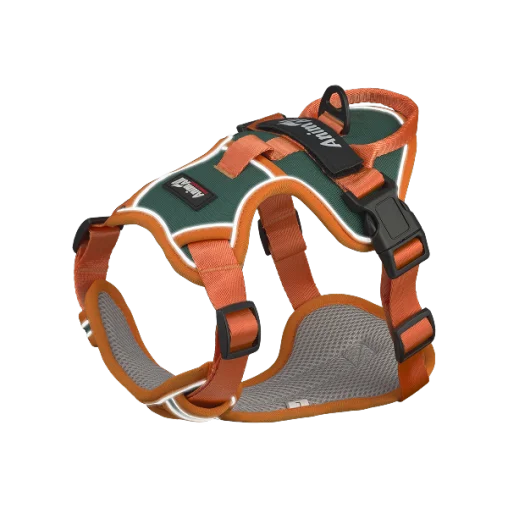 Шлея анатомічна світловідбивна AnimAll HL-H8791 для собак, колір зелений | помаранчевий, L 62-83 см
