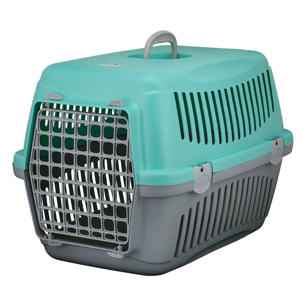 Переноска AnimAll CNR-134 для кішок і собак, сіро-мʼятна, 58×42×42 см