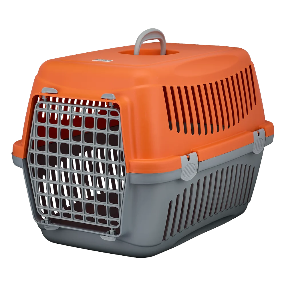 AnimAll CNR-134 carrier for cats and dogs, gray-rosemary, 58×42×42 cm