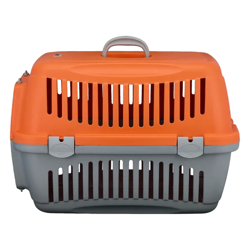 AnimAll CNR-134 carrier for cats and dogs, gray-rosemary, 58×42×42 cm