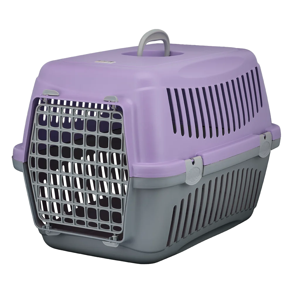 AnimAll CNR-134 carrier for cats and dogs, gray-purple, 58×42×42 cm