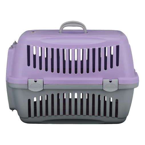 AnimAll CNR-134 carrier for cats and dogs, gray-purple, 58×42×42 cm