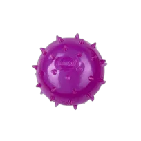 Мʼяч шипованийʼяч шипований, AnimAll Fun з пищалкою для собак, 75 мм, фіолетовий