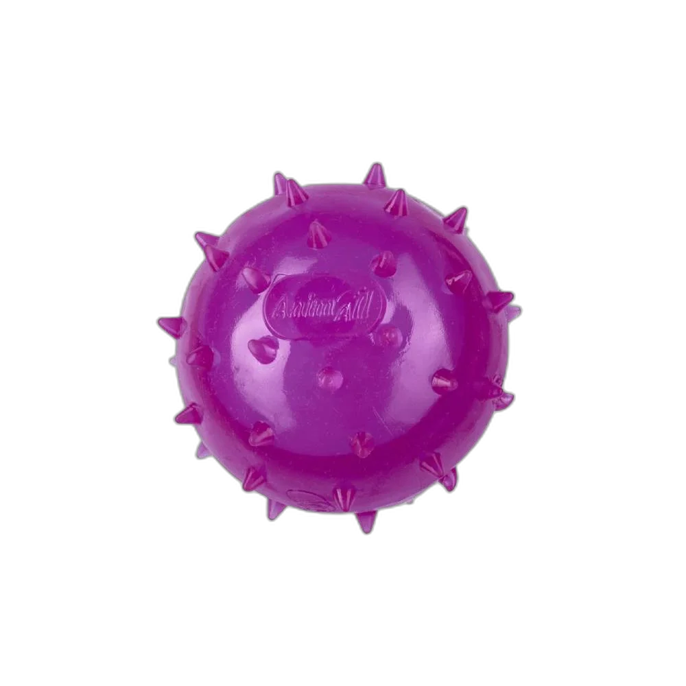 AnimAll Fun studded ball with dog whistle, 45 mm, purple