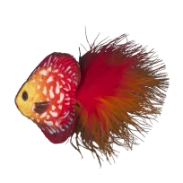 Іграшка мʼяка AnimAll Рибка з дзвіночком та ароматом мʼяти для котів, 11 см