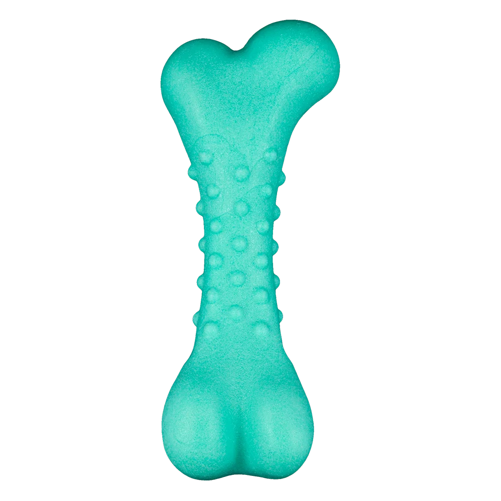 AnimAll GrizZzly Spiked Dog Bone Toy, Mint, 11x4.7x4 cm