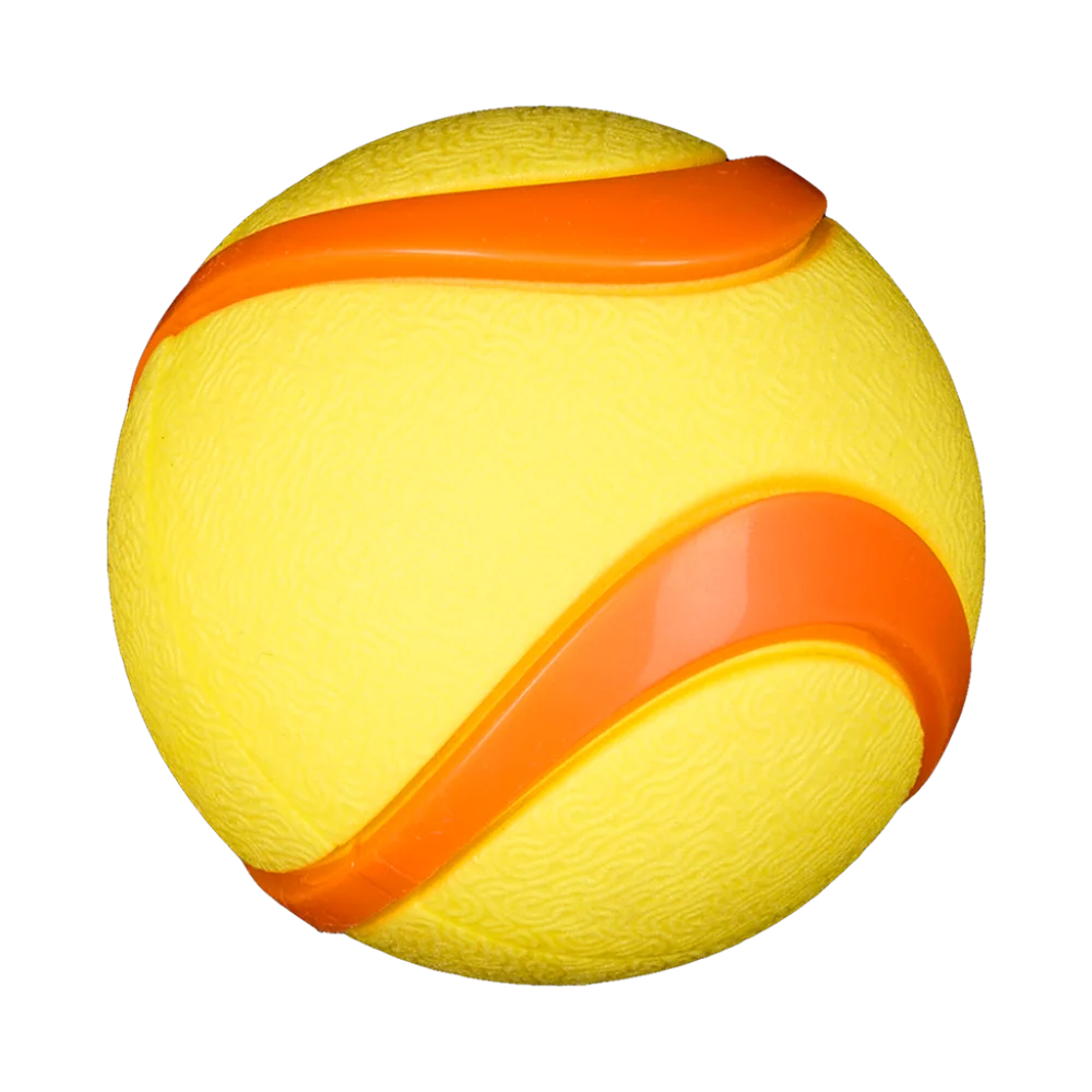 AnimAll GrizZzly Squeaky Tennis Ball for Dogs, Yellow, 6.4 cm