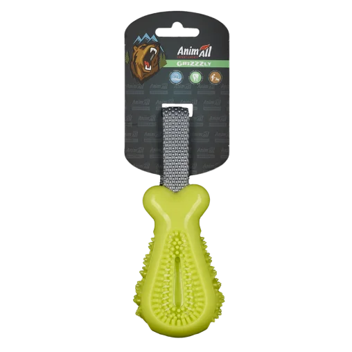 AnimAll GrizZzly Chicken Leg Squeaky Dog Toy, Green, 25×7.2×5.8 cm