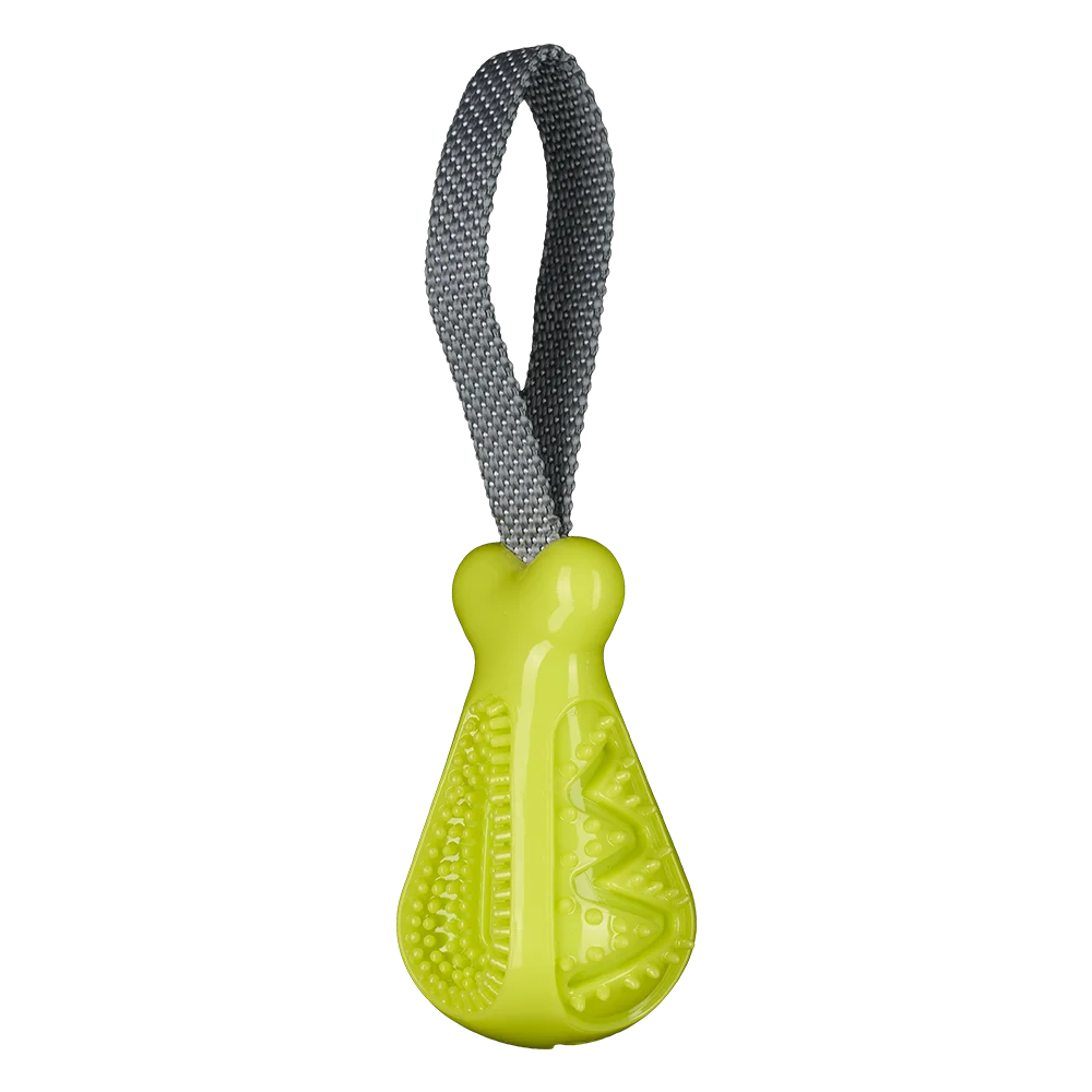 AnimAll GrizZzly Chicken Leg Squeaky Dog Toy, Green, 25×7.2×5.8 cm