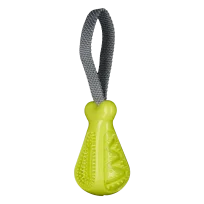AnimAll GrizZzly Chicken Leg Squeaky Dog Toy, Green, 25×7.2×5.8 cm