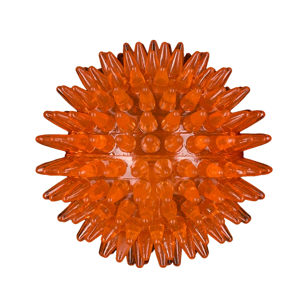 AnimAll GrizZzly Spiky Squeaky Ball for Dogs, Orange, 6.4 cm