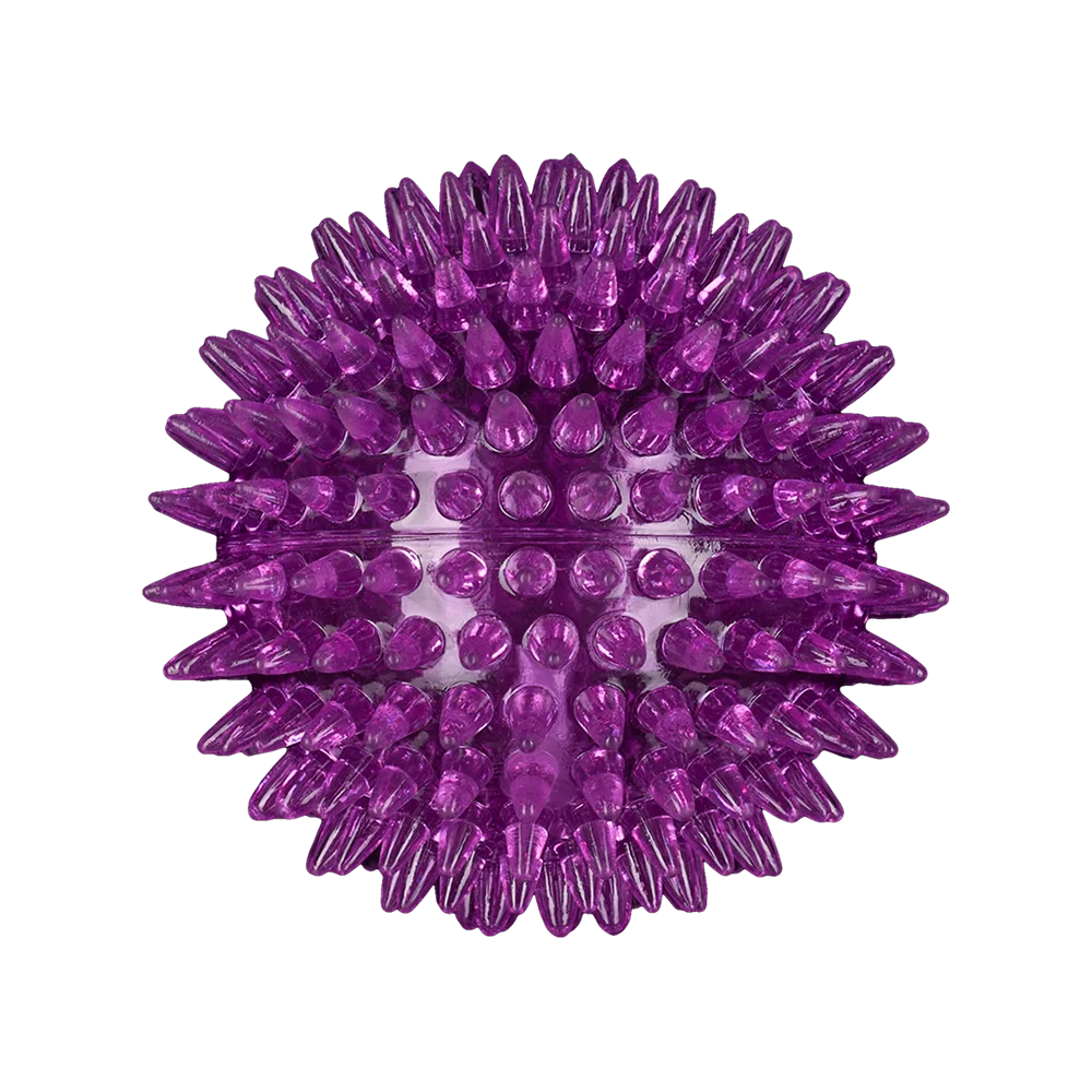 AnimAll GrizZzly Spiky Squeaky Ball for Dogs, Purple, 8.4 cm