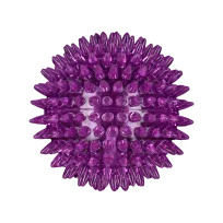 AnimAll GrizZzly Spiky Squeaky Ball for Dogs, Purple, 8.4 cm