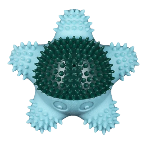 AnimAll GrizZzly Starfish Squeaky Dog Toy, Mint, 13.3x12.7x5.8 cm
