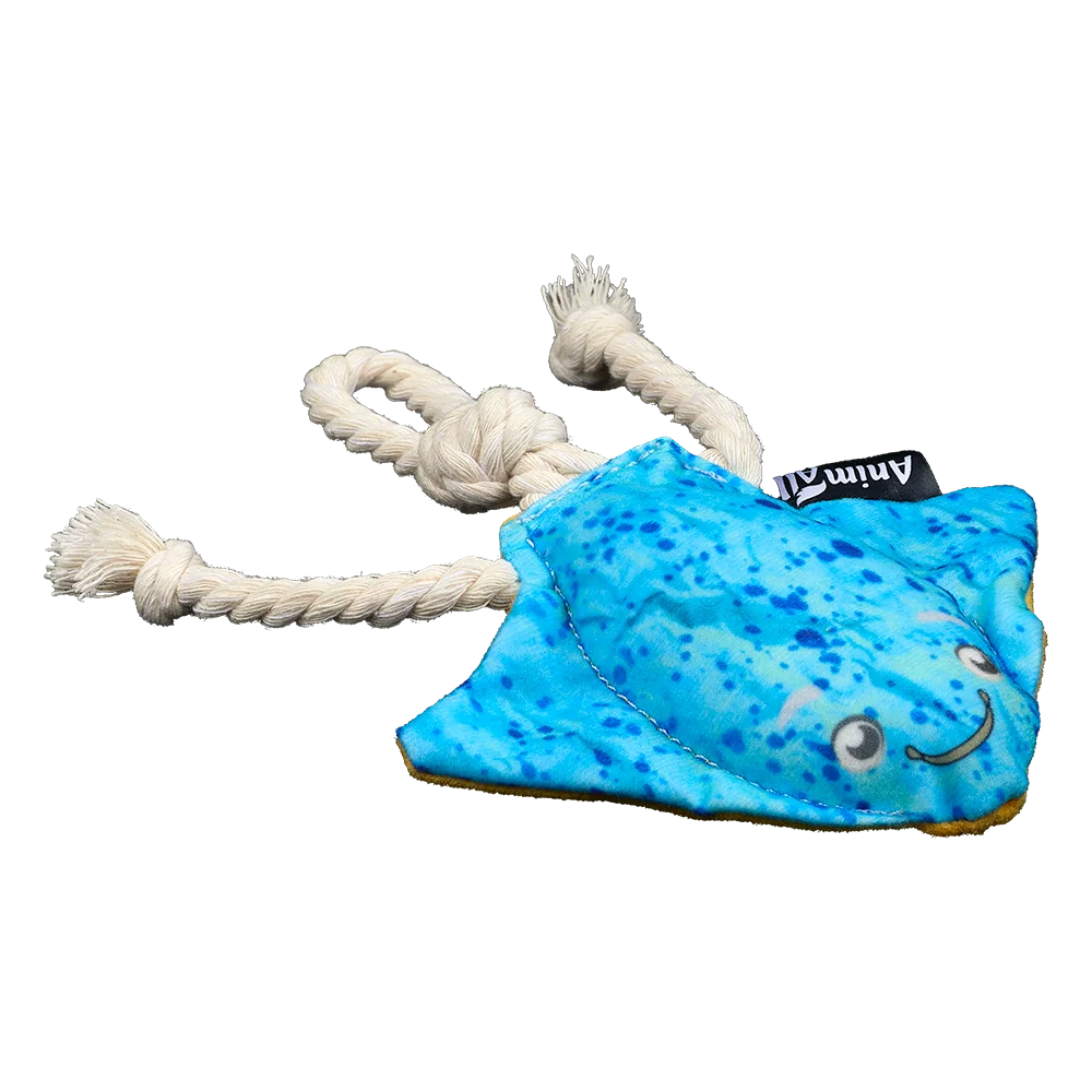 AnimAll GrizZzly Skate Dog Toy with Squeaker, 18x3x13 cm