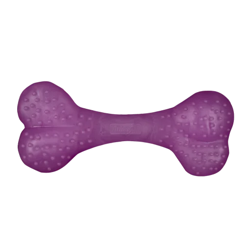AnimAll Fun Vanilla-Scented Training Bone For Dogs, Purple, 15 cm