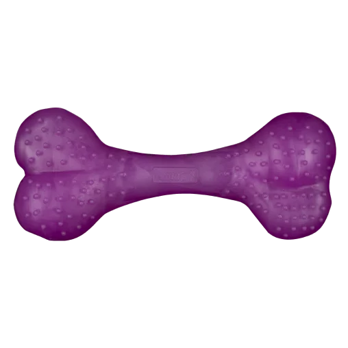 AnimAll Fun Vanilla-Scented Training Bone For Dogs, Purple, 25 cm