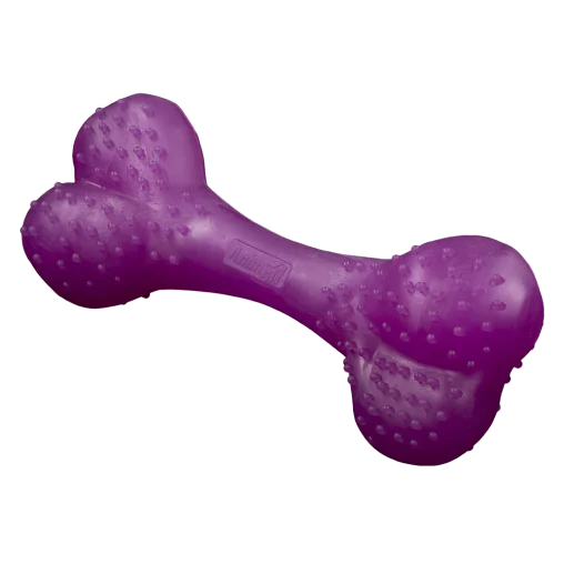 AnimAll Fun Vanilla-Scented Training Bone For Dogs, Purple, 25 cm