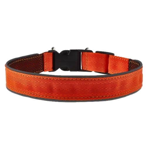 Комплект AnimAll VetLine Double Guard нашийник з протипаразитарною стрічкою, 25 мм, 400 - 500 мм, помаранчевий