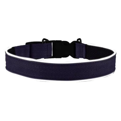 Комплект AnimAll VetLine Double Guard нашийник з протипаразитарною стрічкою, 25 мм, 400 - 500 мм, пурпурний