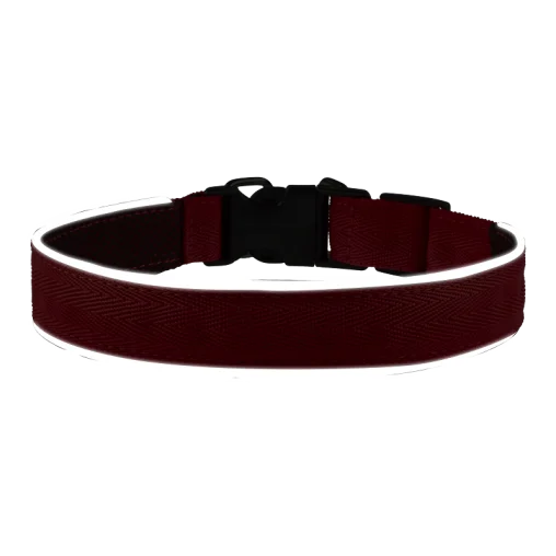 Комплект AnimAll VetLine Double Guard нашийник з протипаразитарною стрічкою, 25 мм, 400 - 500 мм, червоний