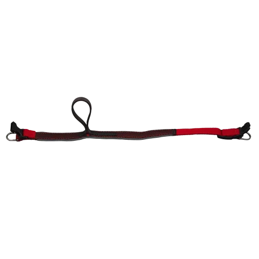 Комплект AnimAll VetLine Double Guard нашийник з протипаразитарною стрічкою, 25 мм, 400 - 500 мм, червоний