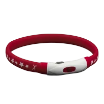 LED-нашийник AnimAll для собак, з зарядним USB-кабелем, колір червоний, 40 см